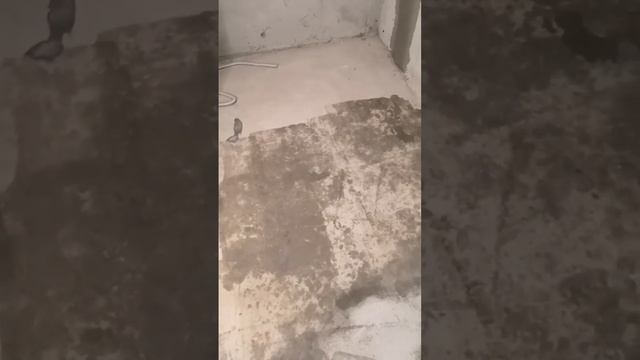 как подготовится к укладке теплого пола смотреть онлайн