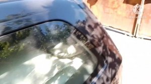 Лучшее средство от мух. Обработка свинарника от мух препаратом Квит Байт.