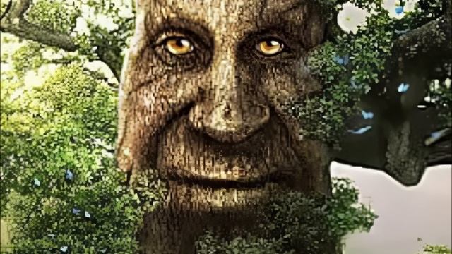 Wise Mystical Tree 10 Hours