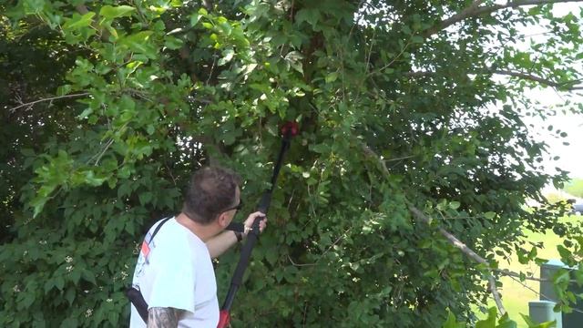 SKIL PWR CORE 20™ 8 IN. Pole Saw Kit! смотреть онлайн