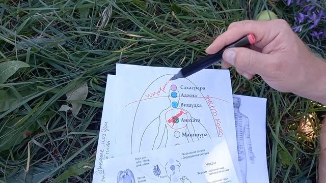 26 Про регенерацию и омоложение тела с Душой смотреть онлайн