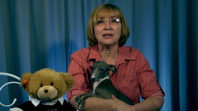 Истории о Капитане Крокусе,(история 7),Сказки перед сном,Сказка на ночь, смотреть онлайн