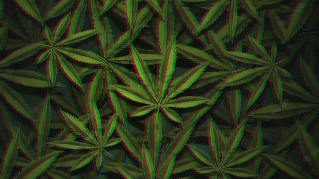 🌿 Вес 🌿 смотреть онлайн