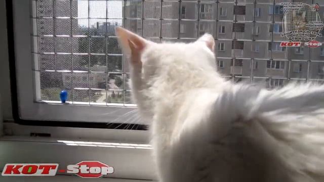 ? Антикошка открывающаяся защитная решетка для кошечки на балконное окно Кот Stop смотреть онлайн