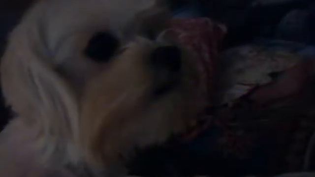 Фотографии нашей красавицы!!!|Bonya Show TV