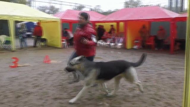 Лавр смотреть онлайн