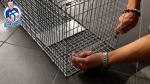 Кошколовка складная, клетка- ловушка