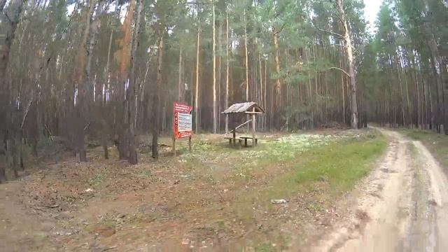 020. Дорога на кордон Бергамак. "Чистый бор". смотреть онлайн