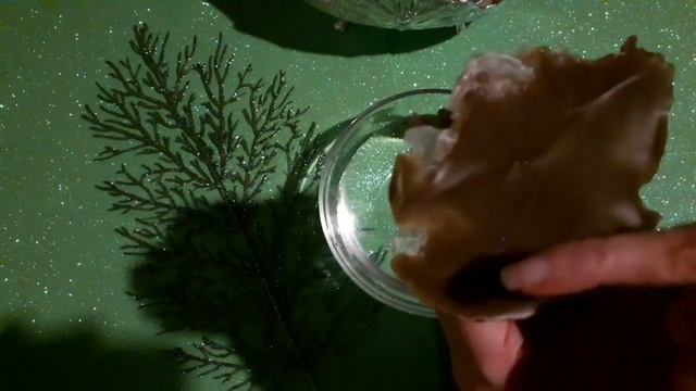 Весенние подарки ВСЕЛЕННОЙ. смотреть онлайн