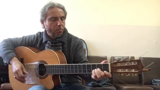 Сектор газа- Туман guitar cover Garri Pat