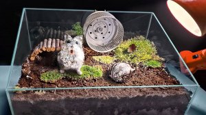 Степа расправился с чужаком в хомякариуме