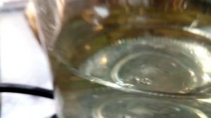 Кормление малька инфузорией.