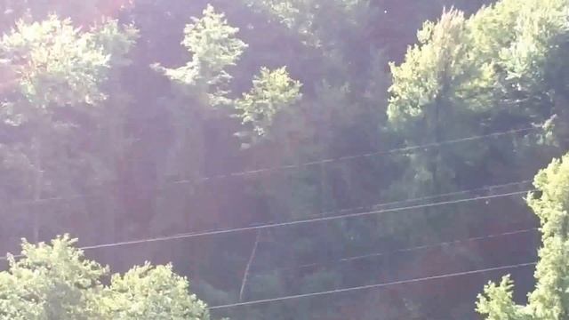 в горах Сочи смотреть онлайн