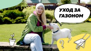 #газон Уход за газоном | Ремонт газона | Ландшафтный дизайн