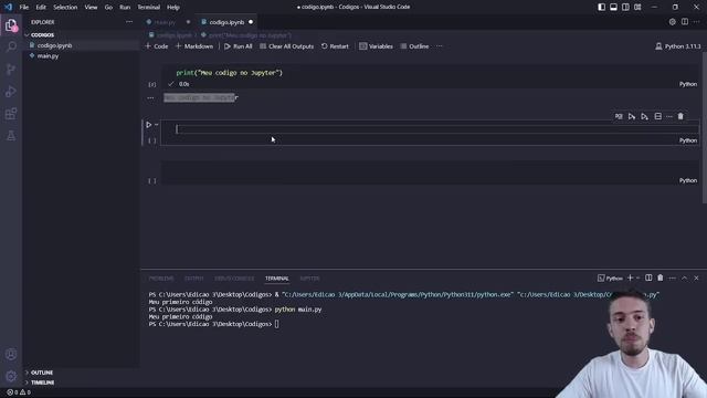 Como Usar o Jupyter Notebook no VSCode смотреть онлайн