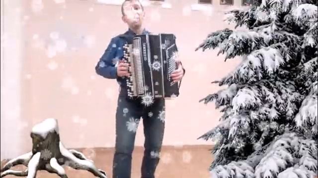 В лесу родилась елочка баян смотреть онлайн