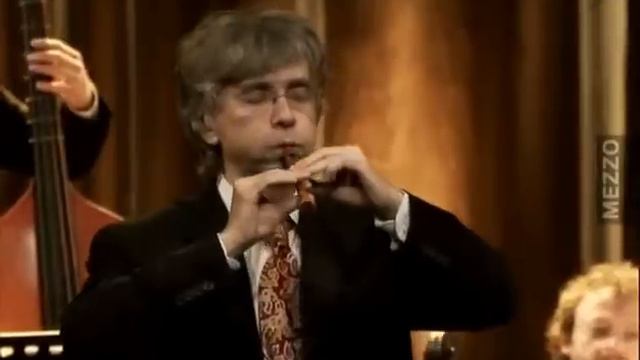 Vivaldi Concerto in C major RV 443 (largo) смотреть онлайн