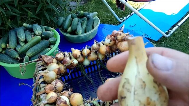 Рисование Карандашом