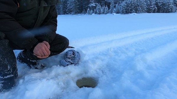 Сегозеро.Форель зимой.