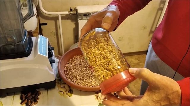 Пшеница без плесени Грунт для витграсса. смотреть онлайн