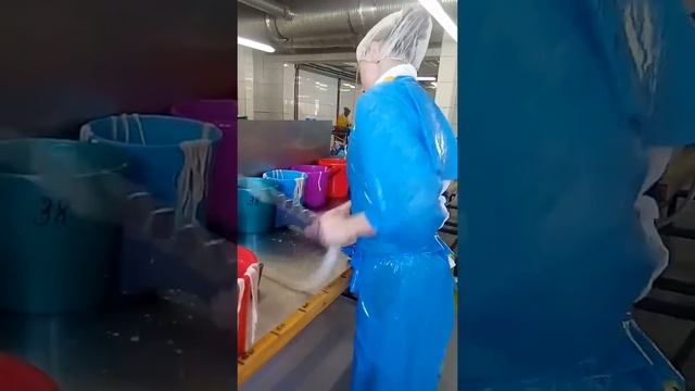 Работушка