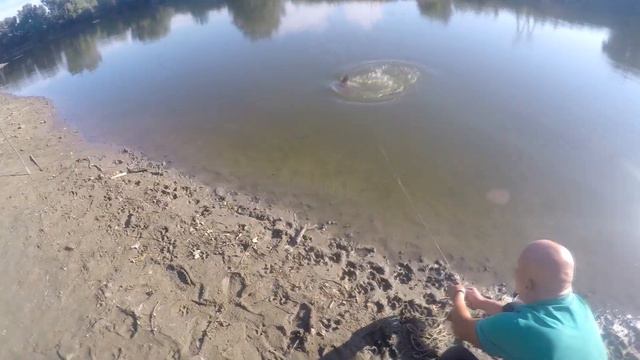 Макуха в деле.Рыбалка на Днестре!!! смотреть онлайн