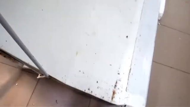 Ремонт холодильного оборудования - ТЕПЛО-ХОЛОД