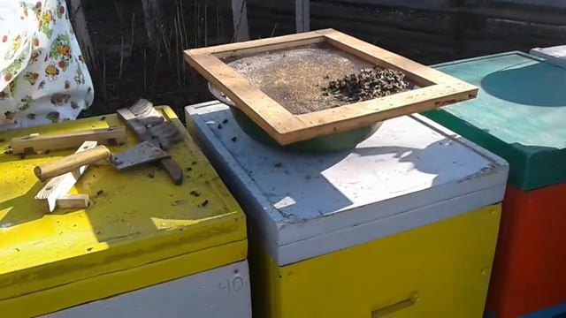 Чистка доньев пенополиуретановых ульев после зимовки смотреть онлайн