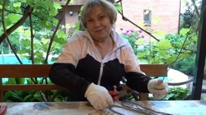 Новые ИДЕИ!  ПОДПОРКИ для КЛУБНИКИ / Своими руками