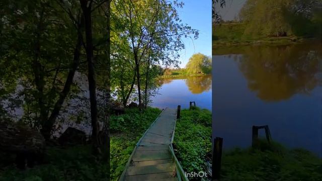 Подмосковье. Лето? смотреть онлайн