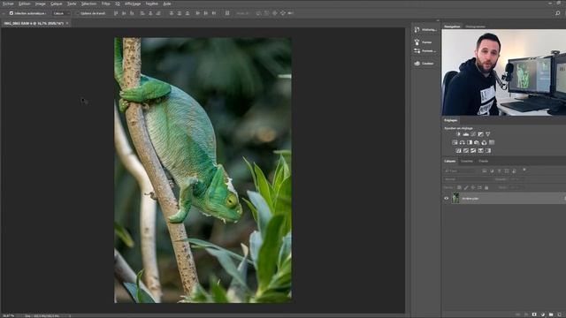 LES RÉGLAGES DE BASE dans CAMERA RAW PHOTOSHOP | cours #015 смотреть онлайн