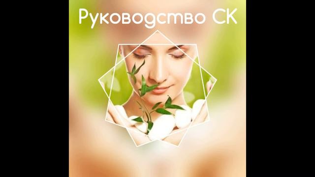 Руководство СК смотреть онлайн