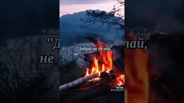 17 ноября 2022 г. смотреть онлайн