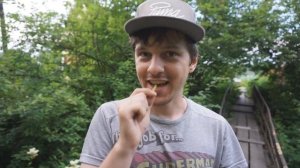 ВИДЕО УРОК - свистульки из акации