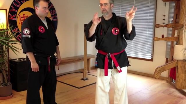 Bunkai For Naihanchi
