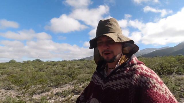 My Peyote Experience | The Psychedelic Cactus 🇲🇽