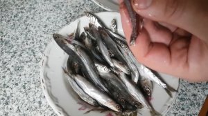 Хамса - ЭТО ДЕЛИКАТЕС. Анапское счастье Зимой. Анчоус