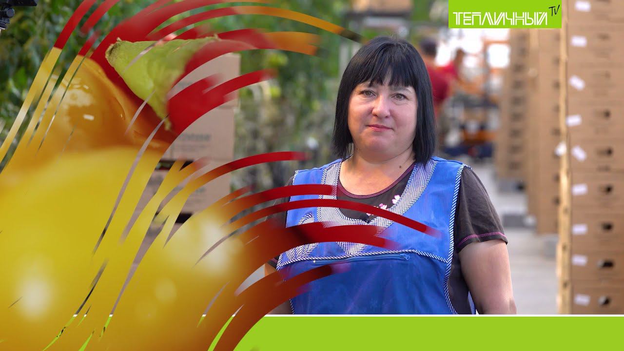 "Тепличный TV". Выпуск 32 смотреть онлайн