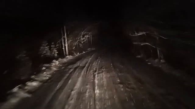 Прогулка по тайге. Шаг7. смотреть онлайн