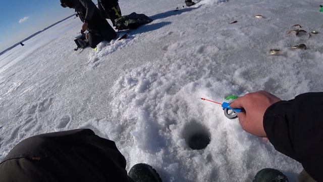 Жаркое закрытие зимнего сезона 2023 на Гилевском водохранилище с командой "Диалоги о рыбалке" смотреть онлайн