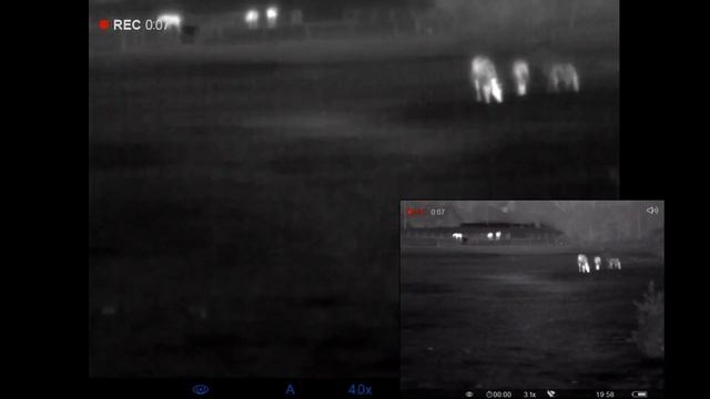 Pulsar axion xm30 verses accolade xq38 LRF смотреть онлайн
