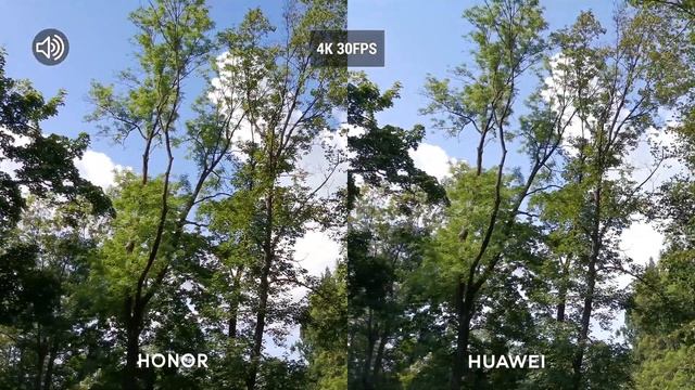 Honor 20 Pro Vs Huawei Mate 20 Pro - Camera Test Comparison! [Big Difference?]