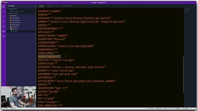 Build for windows, linux and mac смотреть онлайн
