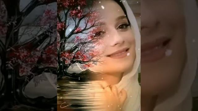 Айна Исаева . Белой акации гроздья душистые. смотреть онлайн