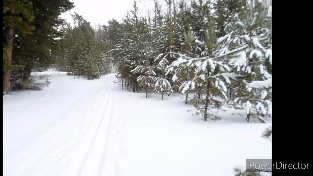 12 января- праздник АНИСЬИН ДЕНЬ. Что нельзя делать в этот день .Традиции и именинники этого дня. смотреть онлайн