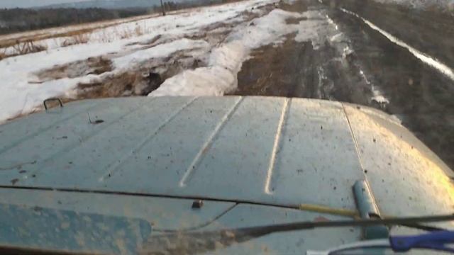 МАНСКИЙ РАЙОН. БЕЗДОРОЖЬЕ И ТАБУН ДИКИХ КОЗ смотреть онлайн