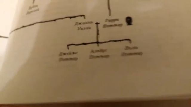 Генеалогическое древо семьи Гарри Поттера! смотреть онлайн