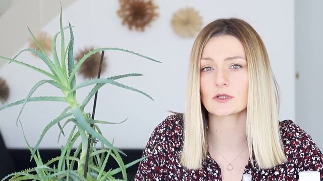 Реанимация сухих волос: 3 домашних средства с алоэ смотреть онлайн