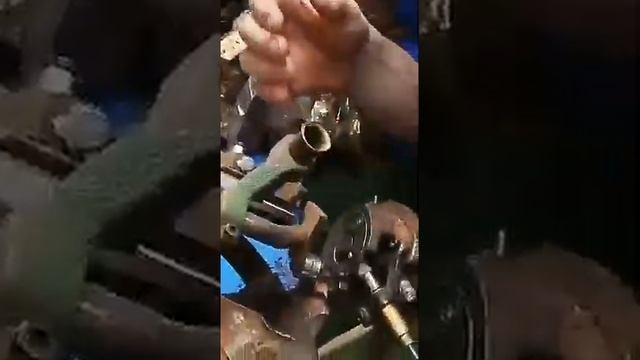 SUGHERO Пробковое царство на Сардинии смотреть онлайн