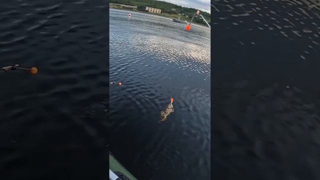 НА ЗИМНЮЮ С ЛОДКИ смотреть онлайн